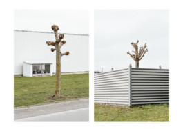 Städtischer Verkehrsverein Lippstadt