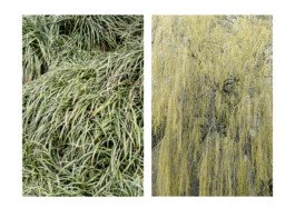 Städtischer Verkehrsverein Lippstadt